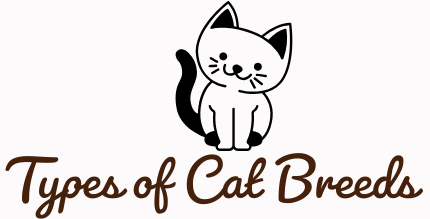 Type of Cat Breeds